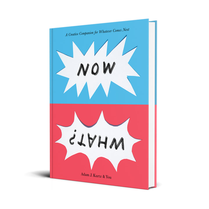 Journal book with a blue and red cover reads "NOW WHAT?"